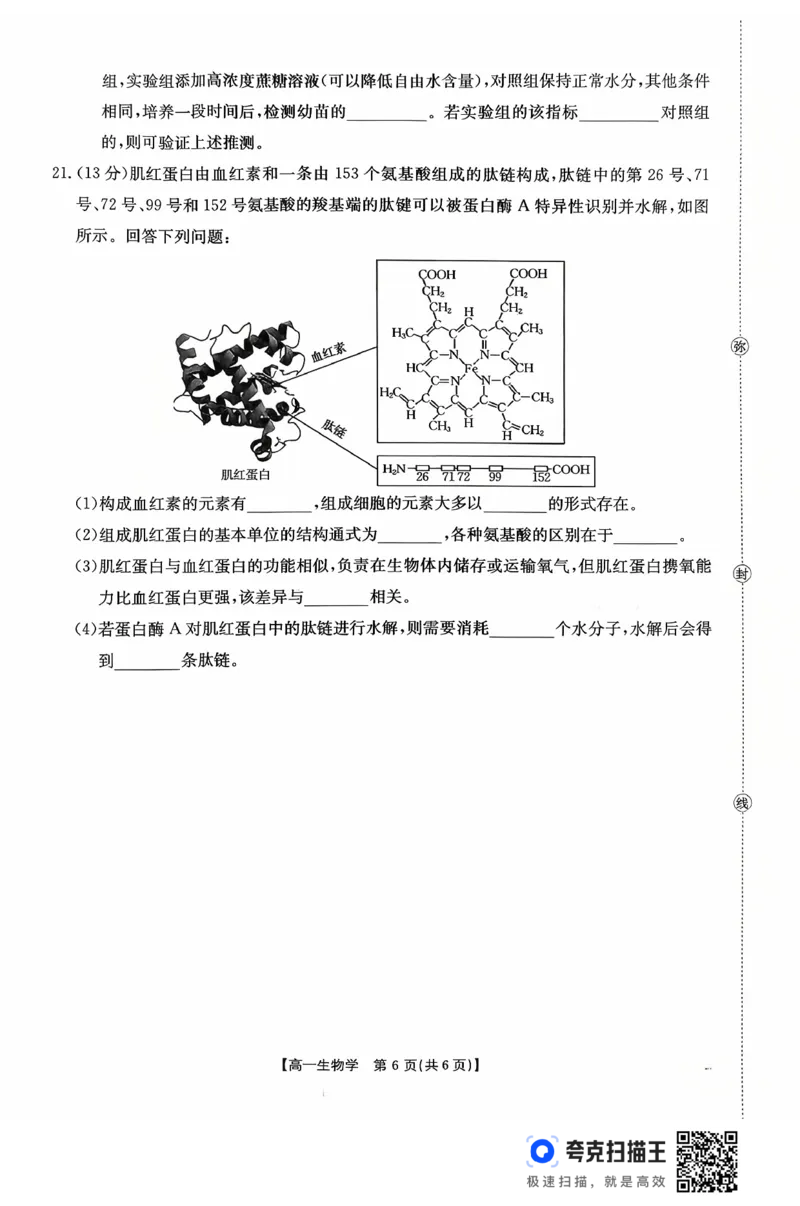 广东省2028届高一年级10月份联考（26-48A）生物_2025年10月高一试卷_251024金太阳&middot;广东省2028届高一年级10月份联考（26-48A）（全）