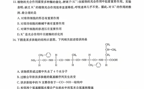 广东省2028届高一年级10月份联考（26-48A）生物_2025年10月高一试卷_251024金太阳&middot;广东省2028届高一年级10月份联考（26-48A）（全）