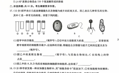 广东省2028届高一年级10月份联考（26-48A）生物_2025年10月高一试卷_251024金太阳&middot;广东省2028届高一年级10月份联考（26-48A）（全）