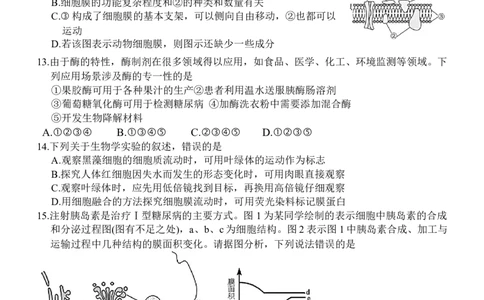 广东省六校（茂名一中，惠州一中，河源一中等）2024-2025学年高一上学期12月联合考试生物试题_2024年12月试卷
