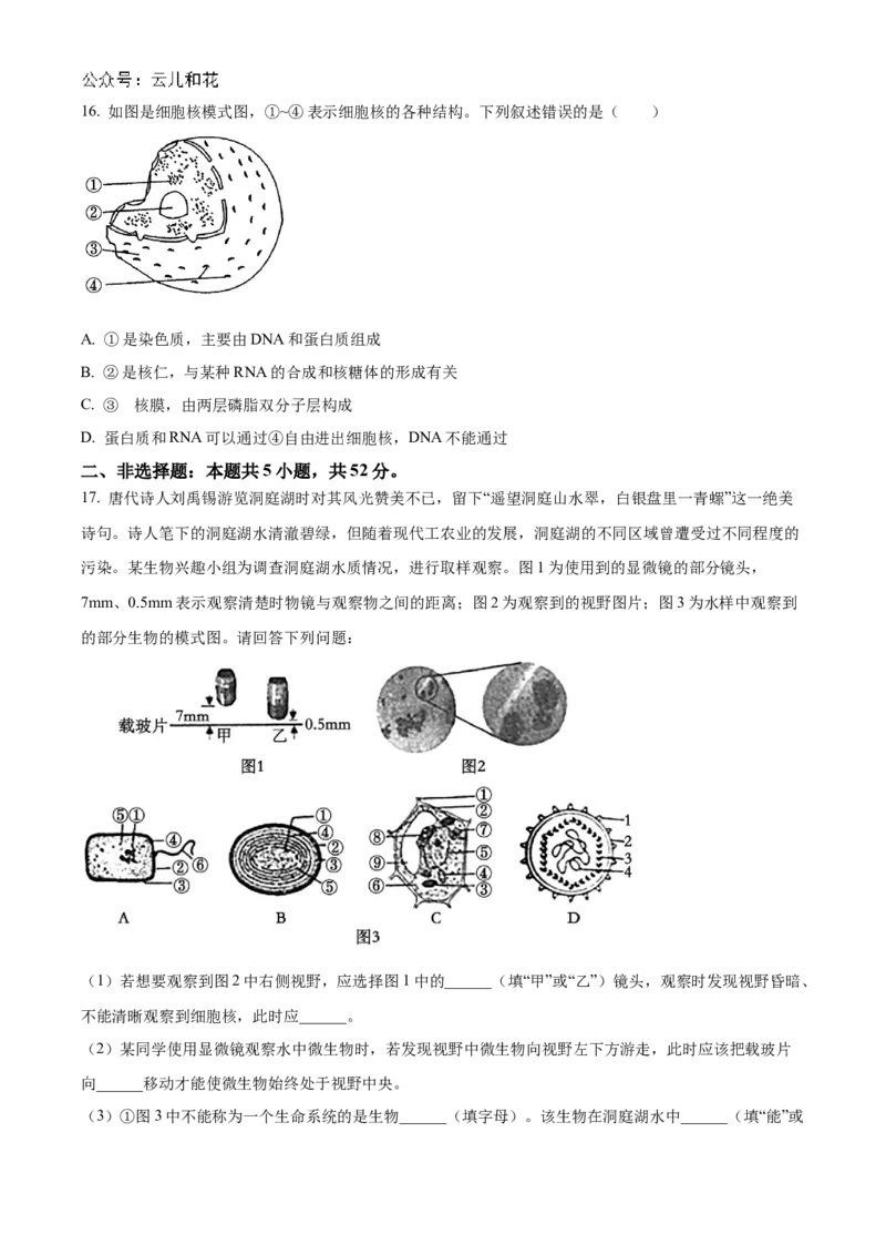 山西省部分学校2024-2025学年高一上学期11月期中质量检测生物试题Word版无答案_2024年12月试卷_1209山西省部分学校2024-2025学年高一上学期11月期中考试