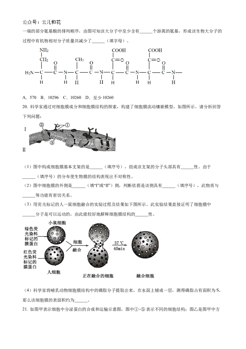 山西省部分学校2024-2025学年高一上学期11月期中质量检测生物试题Word版无答案_2024年12月试卷_1209山西省部分学校2024-2025学年高一上学期11月期中考试
