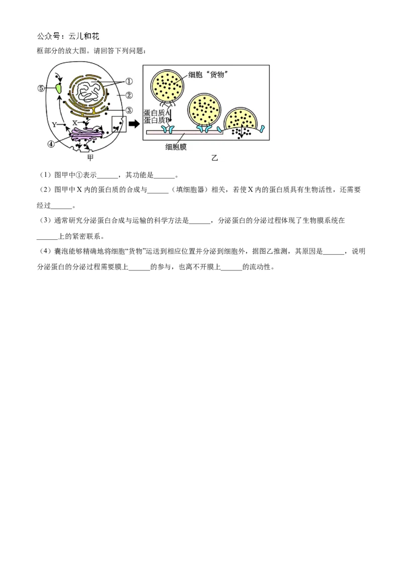 山西省部分学校2024-2025学年高一上学期11月期中质量检测生物试题Word版无答案_2024年12月试卷_1209山西省部分学校2024-2025学年高一上学期11月期中考试