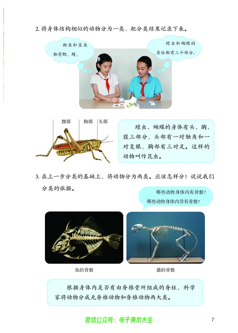 义务教育教科书科学四年级上册_电子课本_小学电子课本_05科学_人教版