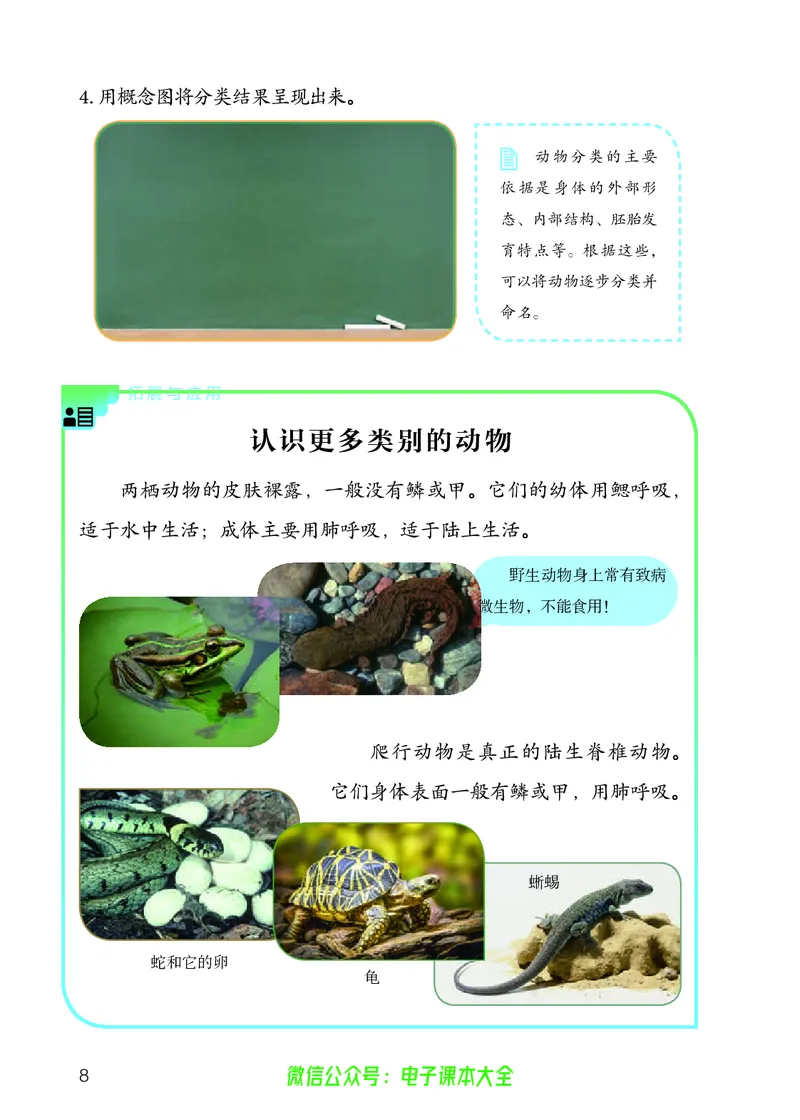 义务教育教科书科学四年级上册_电子课本_小学电子课本_05科学_人教版