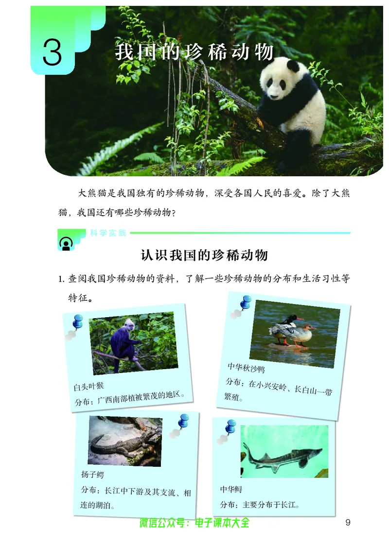 义务教育教科书科学四年级上册_电子课本_小学电子课本_05科学_人教版
