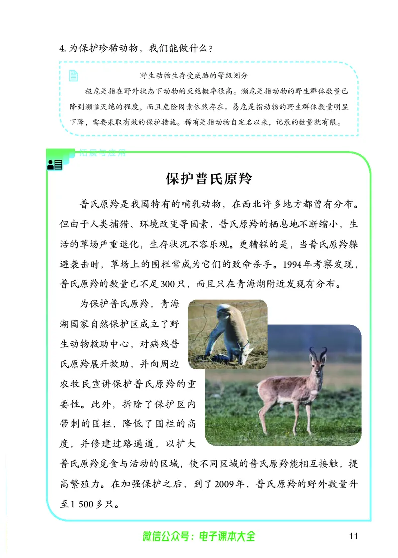 义务教育教科书科学四年级上册_电子课本_小学电子课本_05科学_人教版