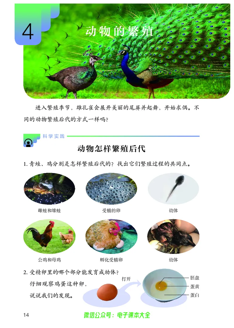 义务教育教科书科学四年级上册_电子课本_小学电子课本_05科学_人教版