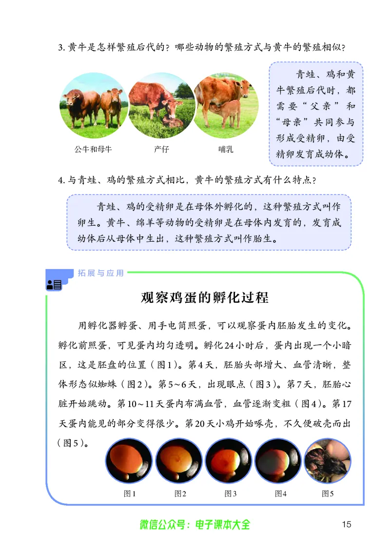 义务教育教科书科学四年级上册_电子课本_小学电子课本_05科学_人教版