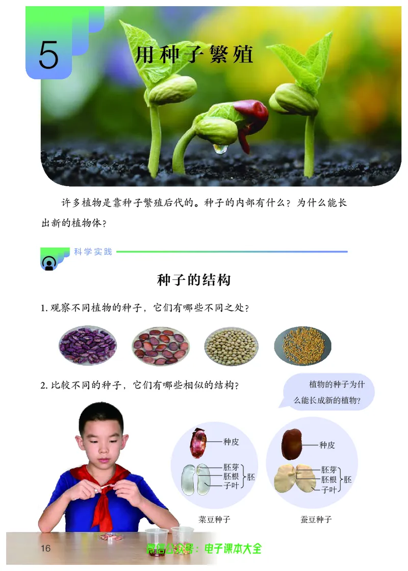 义务教育教科书科学四年级上册_电子课本_小学电子课本_05科学_人教版