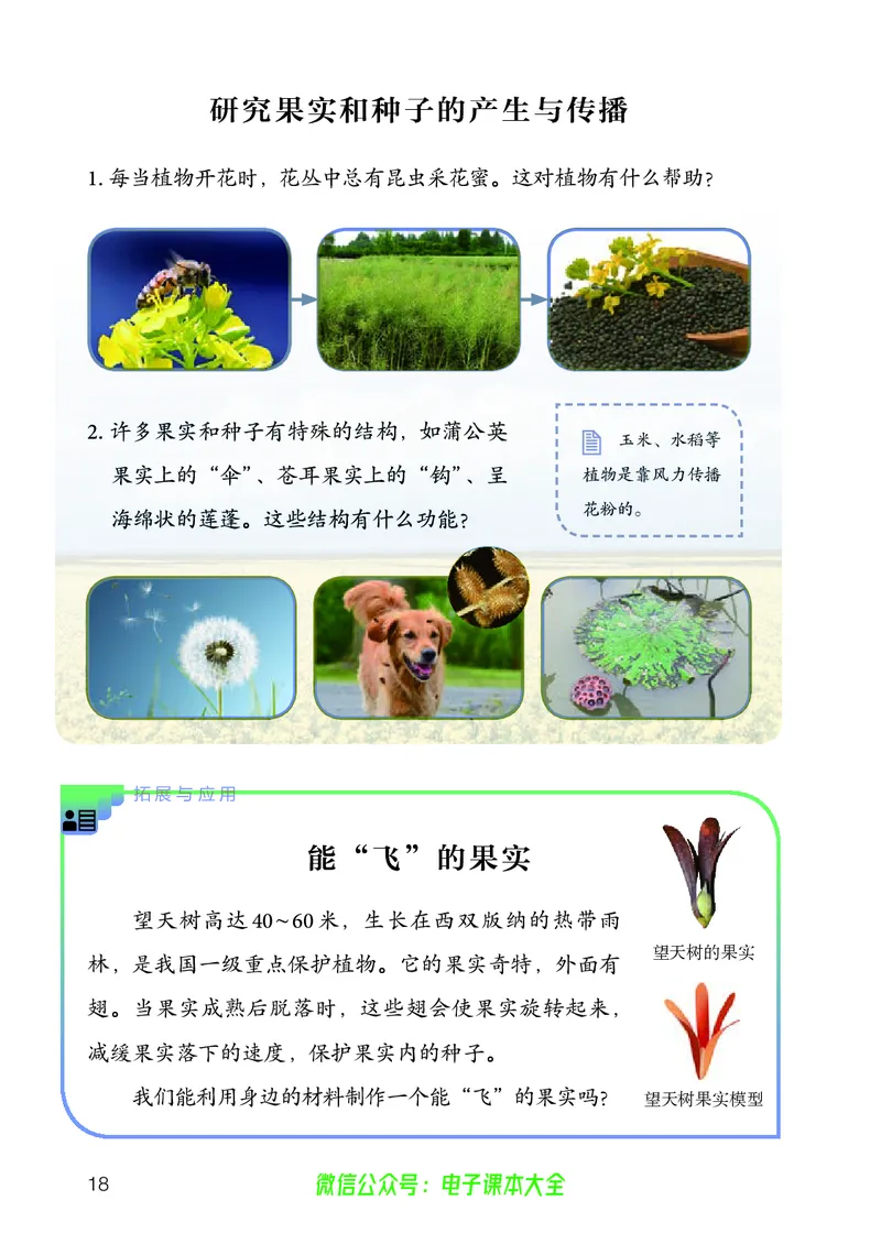 义务教育教科书科学四年级上册_电子课本_小学电子课本_05科学_人教版