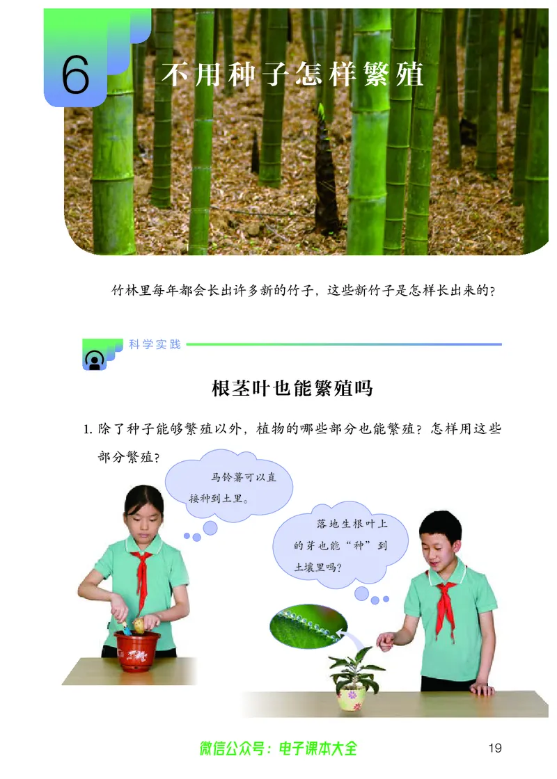 义务教育教科书科学四年级上册_电子课本_小学电子课本_05科学_人教版