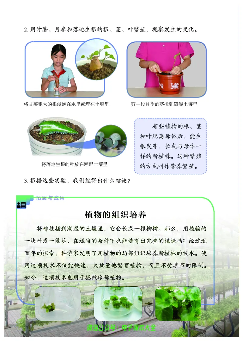 义务教育教科书科学四年级上册_电子课本_小学电子课本_05科学_人教版