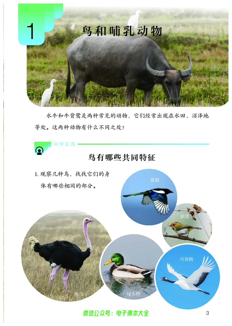 义务教育教科书科学四年级上册_电子课本_小学电子课本_05科学_人教版