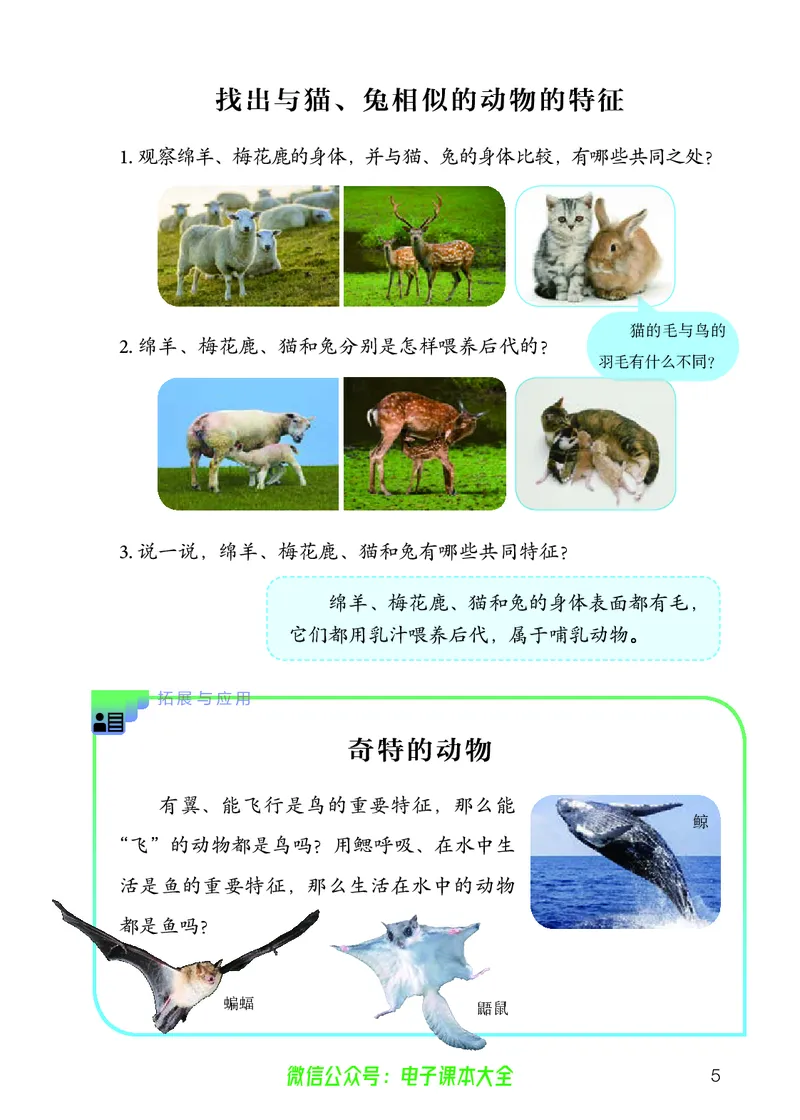 义务教育教科书科学四年级上册_电子课本_小学电子课本_05科学_人教版