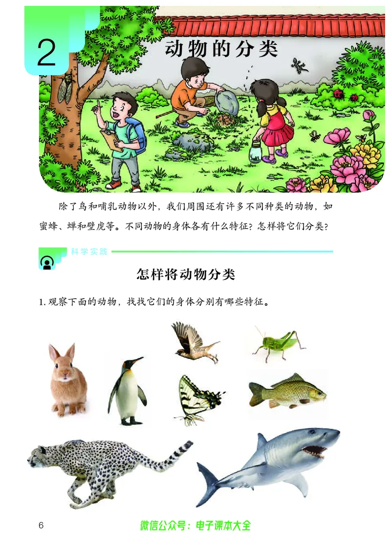 义务教育教科书科学四年级上册_电子课本_小学电子课本_05科学_人教版