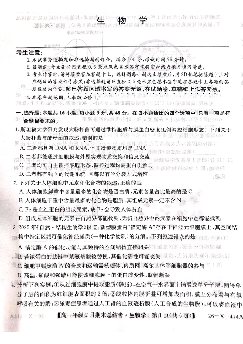 山西省大同市高一期末联考生物（扫描）_2026年02月高一试卷_260211三晋卓越联盟&middot;山西省2025-2026学年高一年级2月期末总结考(26-X-414A)（全）