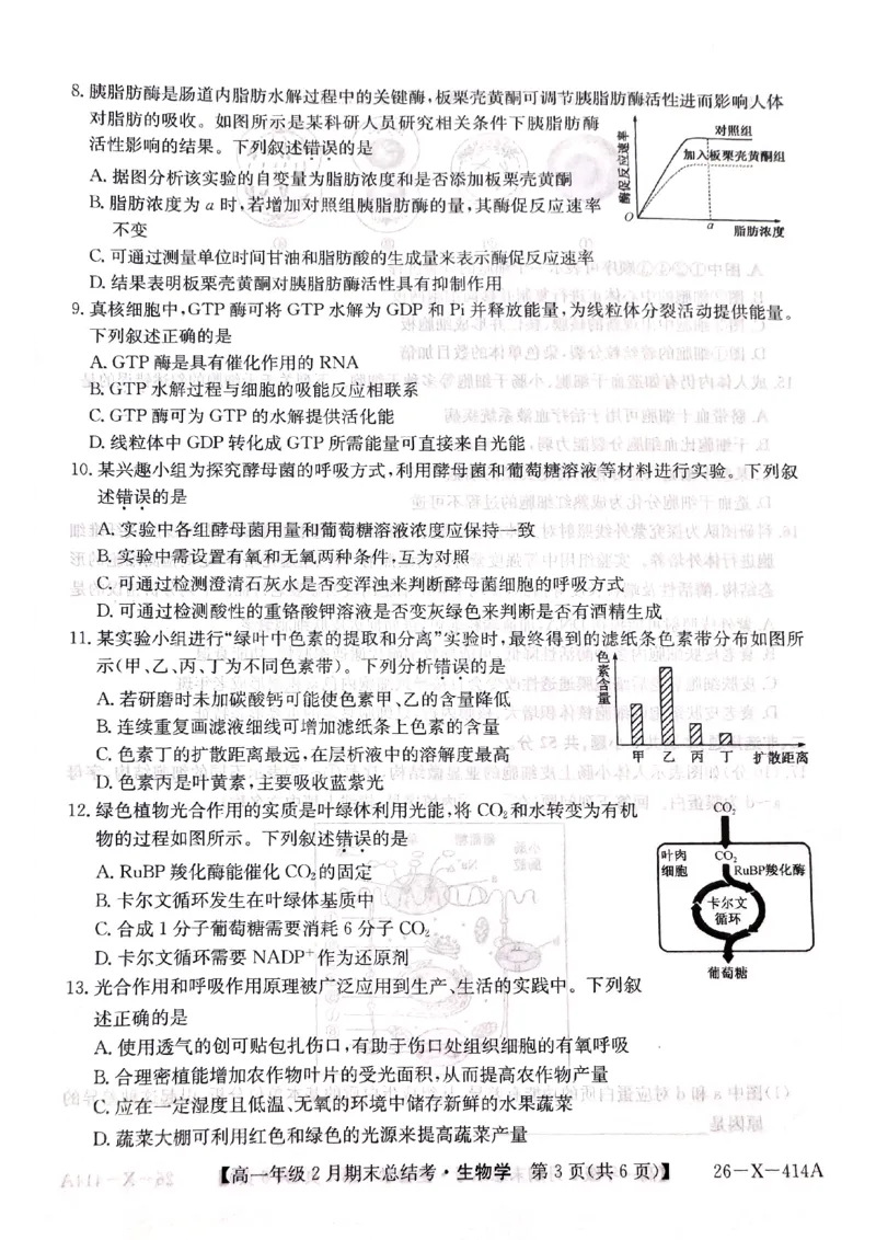 山西省大同市高一期末联考生物（扫描）_2026年02月高一试卷_260211三晋卓越联盟&middot;山西省2025-2026学年高一年级2月期末总结考(26-X-414A)（全）