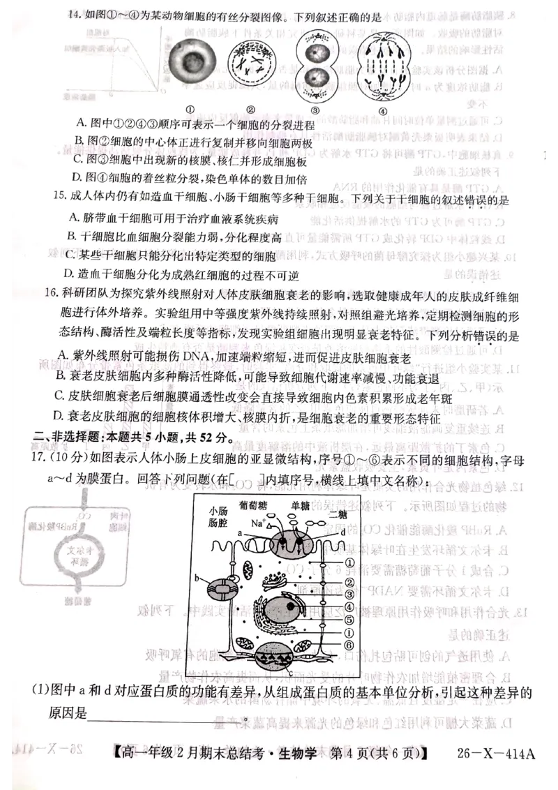 山西省大同市高一期末联考生物（扫描）_2026年02月高一试卷_260211三晋卓越联盟&middot;山西省2025-2026学年高一年级2月期末总结考(26-X-414A)（全）