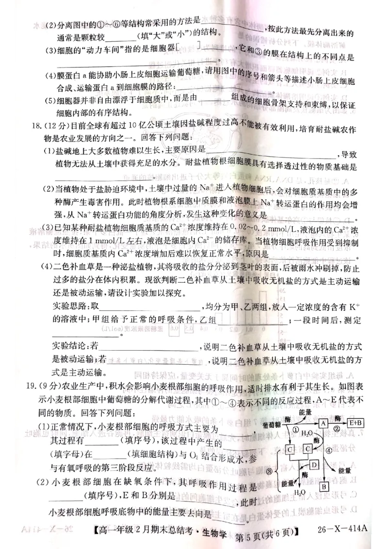 山西省大同市高一期末联考生物（扫描）_2026年02月高一试卷_260211三晋卓越联盟&middot;山西省2025-2026学年高一年级2月期末总结考(26-X-414A)（全）