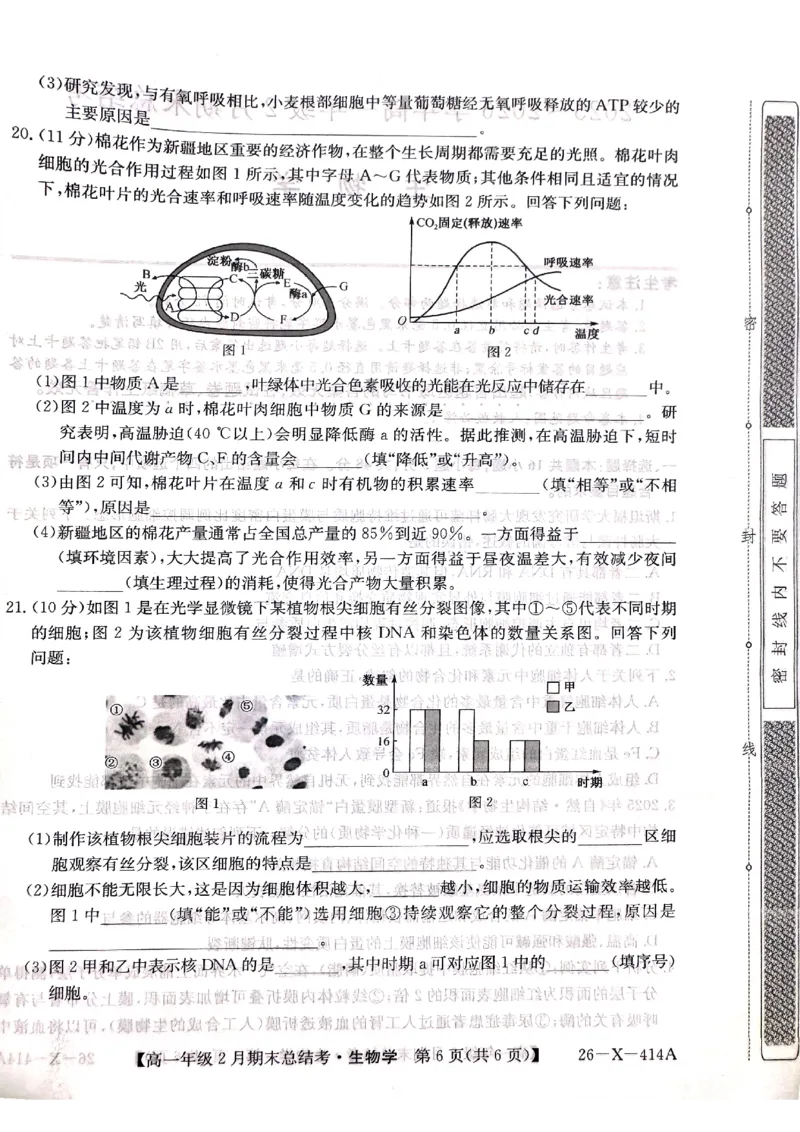 山西省大同市高一期末联考生物（扫描）_2026年02月高一试卷_260211三晋卓越联盟&middot;山西省2025-2026学年高一年级2月期末总结考(26-X-414A)（全）