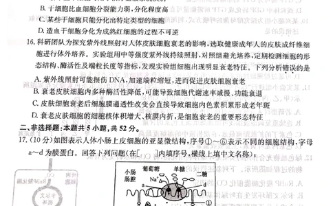 山西省大同市高一期末联考生物（扫描）_2026年02月高一试卷_260211三晋卓越联盟&middot;山西省2025-2026学年高一年级2月期末总结考(26-X-414A)（全）