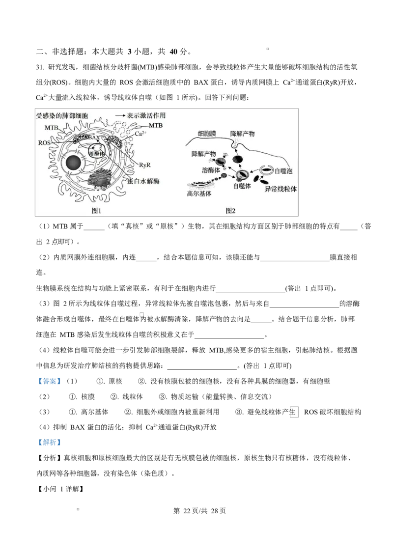 广东省江门市2024-2025学年高一上学期1月期末考试生物试题Word版含解析_2025年03月试卷_0310广东省江门市2024-2025学年高一上学期1月期末考试