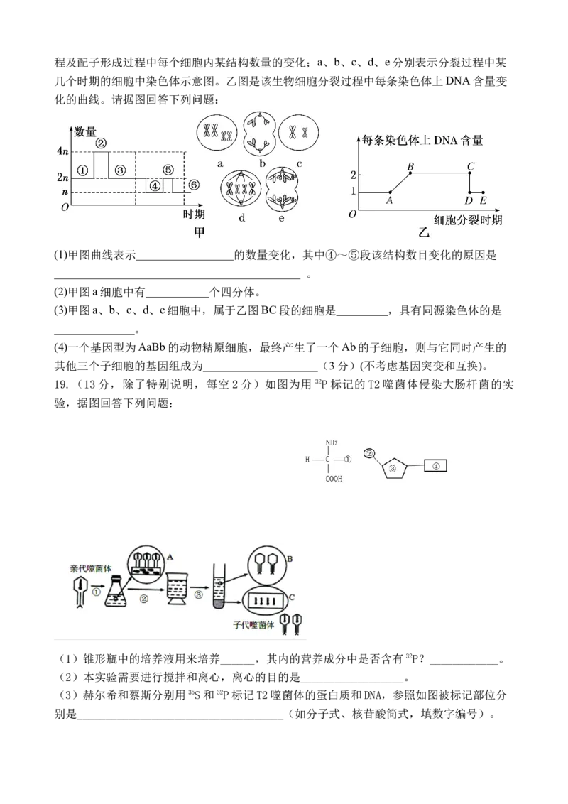 广东省湛江市第二十一中学2024-2025学年高一下学期4月月考生物试题_2025年04月试卷_0410广东省湛江市第二十一中学2024-2025学年高一下学期4月月考