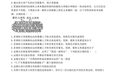 广东省湛江市第二十一中学2024-2025学年高一下学期4月月考生物试题_2025年04月试卷_0410广东省湛江市第二十一中学2024-2025学年高一下学期4月月考