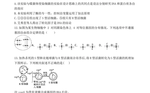 广东省湛江市第二十一中学2024-2025学年高一下学期4月月考生物试题_2025年04月试卷_0410广东省湛江市第二十一中学2024-2025学年高一下学期4月月考