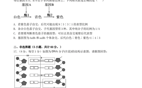 广东省湛江市第二十一中学2024-2025学年高一下学期4月月考生物试题_2025年04月试卷_0410广东省湛江市第二十一中学2024-2025学年高一下学期4月月考