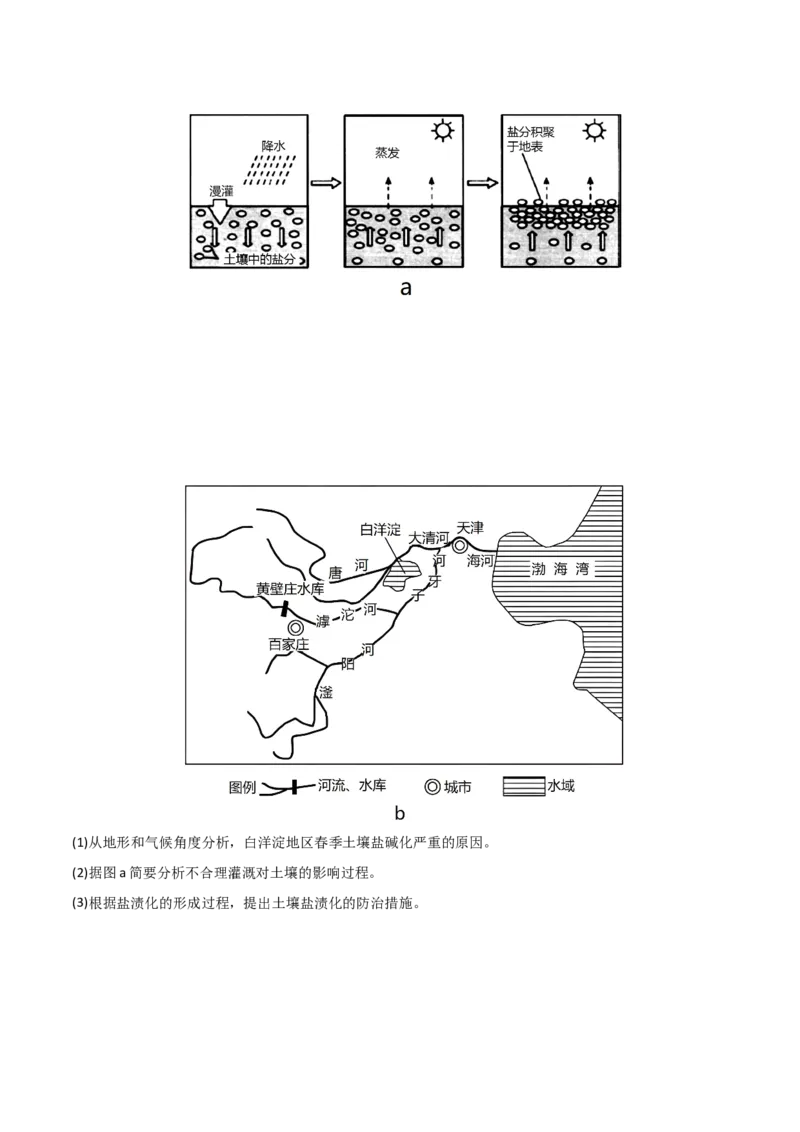 热点专项16盐碱化（原卷版）_新高考复习资料_2024年新高考复习资料_一轮复习资料_完2024年高考地理一轮复习考点通关卷（新高考）_热点专项