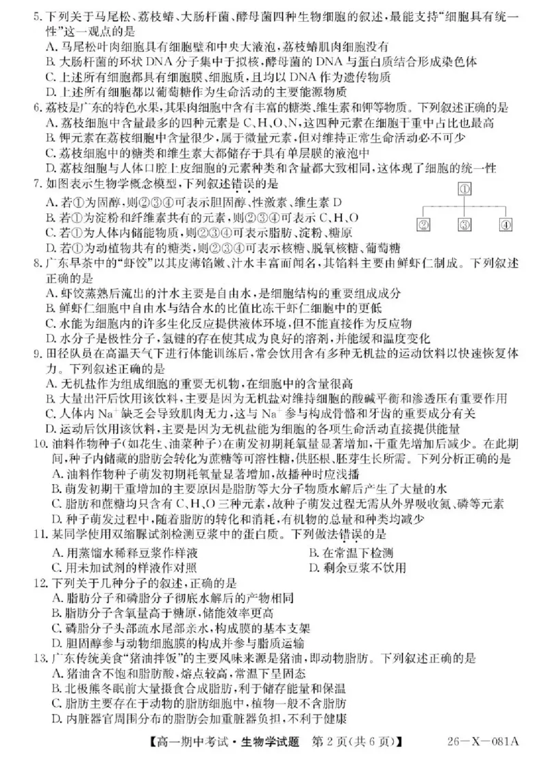 广东省深圳市深圳盟校2025-2026学年高一上学期11月期中生物试题含答案_2025年11月高一试卷_251107广东深圳市盟校2025-2026学年高一上学期11月期中考试（全）