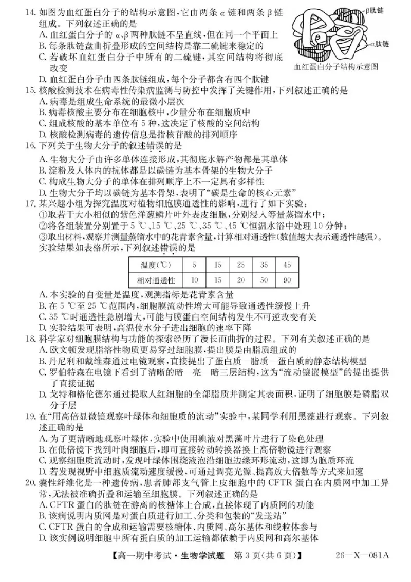 广东省深圳市深圳盟校2025-2026学年高一上学期11月期中生物试题含答案_2025年11月高一试卷_251107广东深圳市盟校2025-2026学年高一上学期11月期中考试（全）