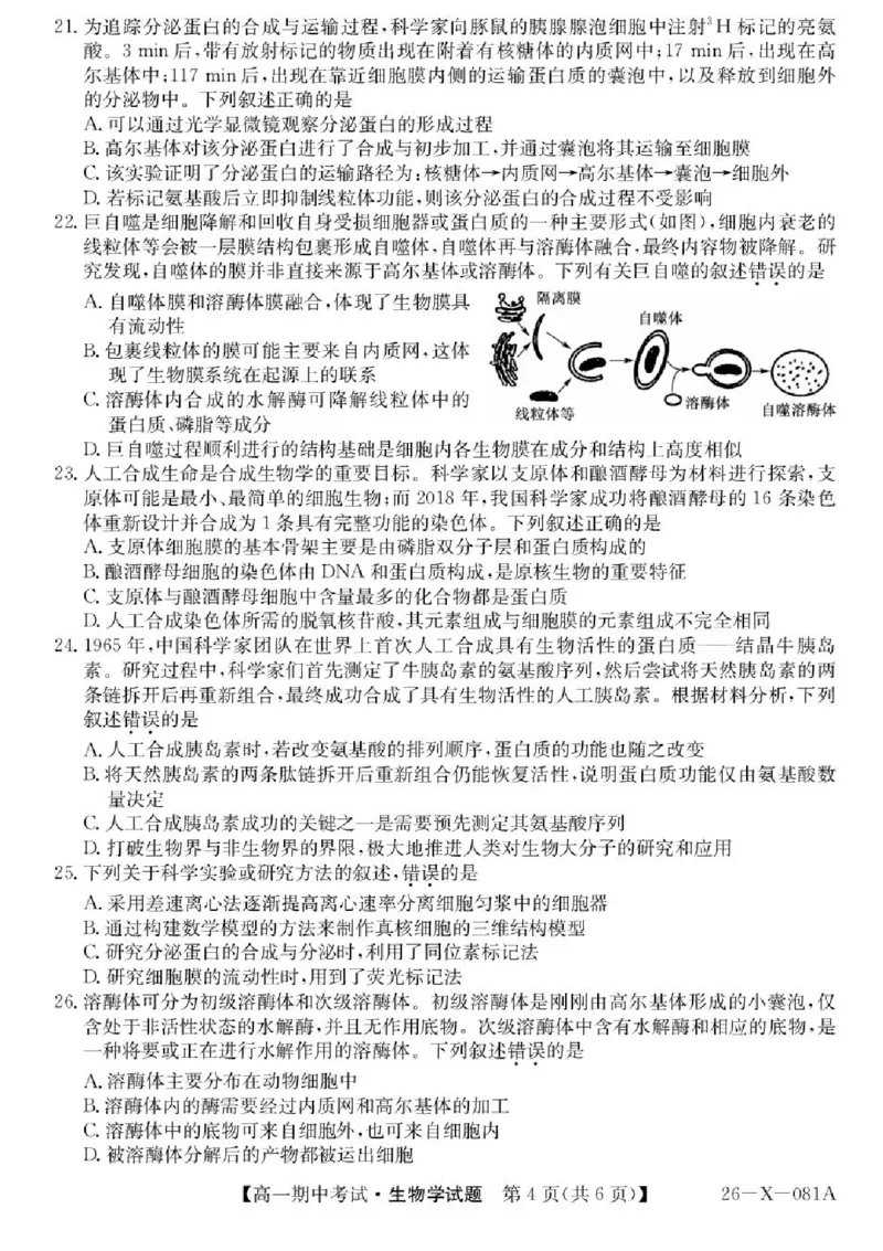 广东省深圳市深圳盟校2025-2026学年高一上学期11月期中生物试题含答案_2025年11月高一试卷_251107广东深圳市盟校2025-2026学年高一上学期11月期中考试（全）