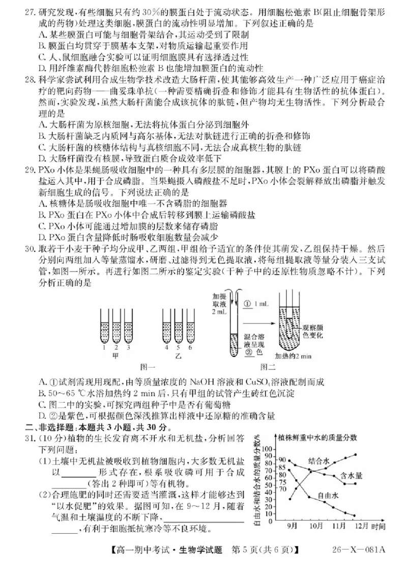 广东省深圳市深圳盟校2025-2026学年高一上学期11月期中生物试题含答案_2025年11月高一试卷_251107广东深圳市盟校2025-2026学年高一上学期11月期中考试（全）