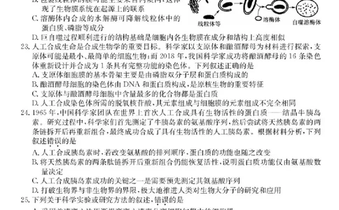 广东省深圳市深圳盟校2025-2026学年高一上学期11月期中生物试题含答案_2025年11月高一试卷_251107广东深圳市盟校2025-2026学年高一上学期11月期中考试（全）