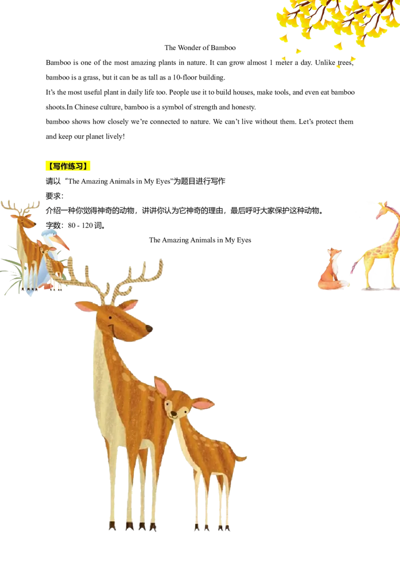 讲义Unit4AmazingPlantsandAnimalsSectionB(单词+短语+句子+知识点+写作)_最新人教版英语八年级上册_新版_初中英语8上新更新第三套可选择_08讲义+单元复习课件