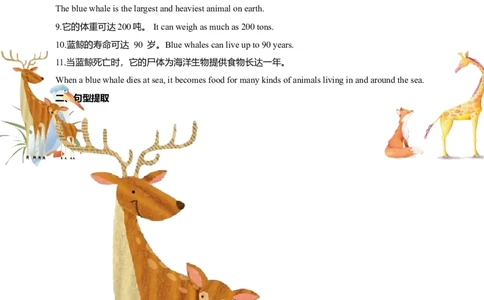讲义Unit4AmazingPlantsandAnimalsSectionB(单词+短语+句子+知识点+写作)_最新人教版英语八年级上册_新版_初中英语8上新更新第三套可选择_08讲义+单元复习课件