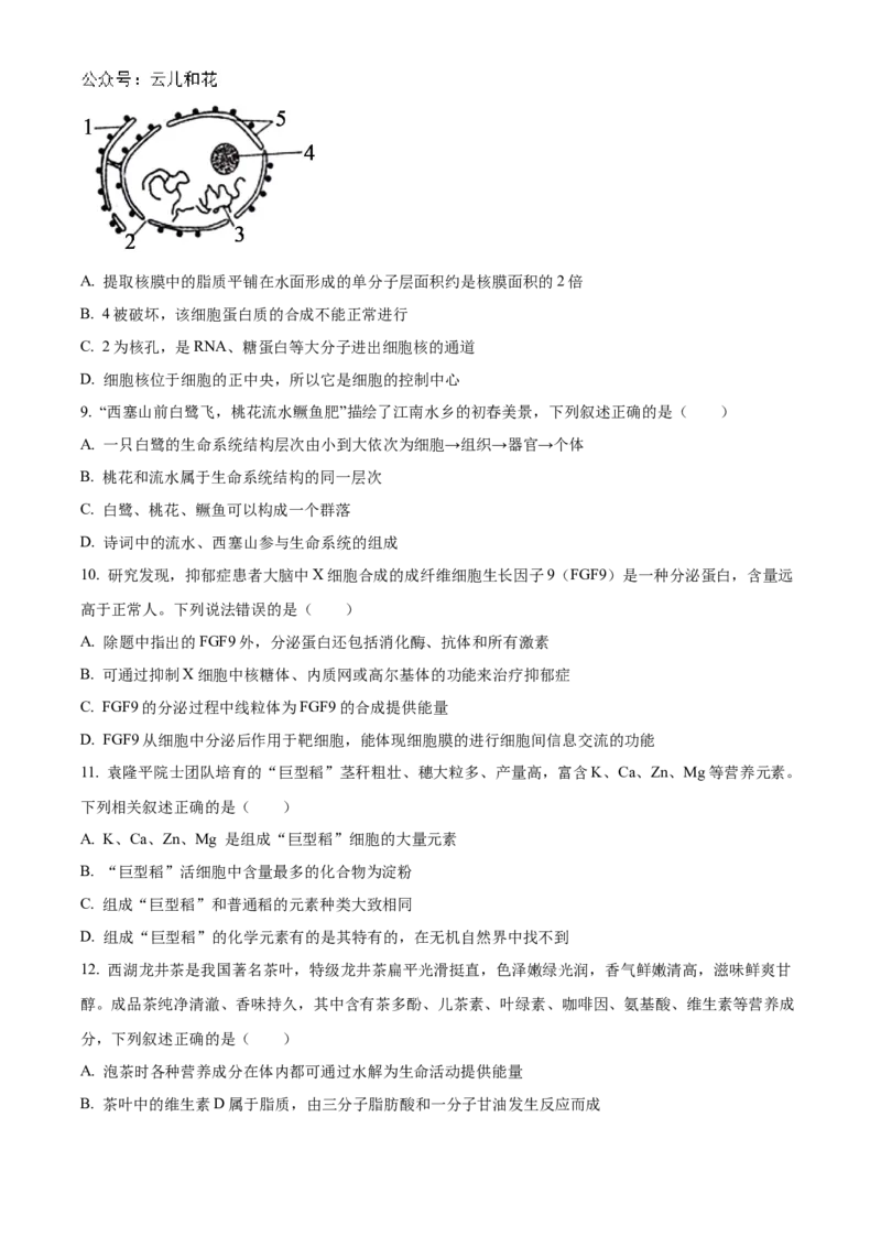 广东省清远市九校联考2024-2025学年高一上学期11月期中生物试题Word版无答案_2024年11月试卷_1127广东省清远市九校2024-2025学年高一上学期11月期中联考
