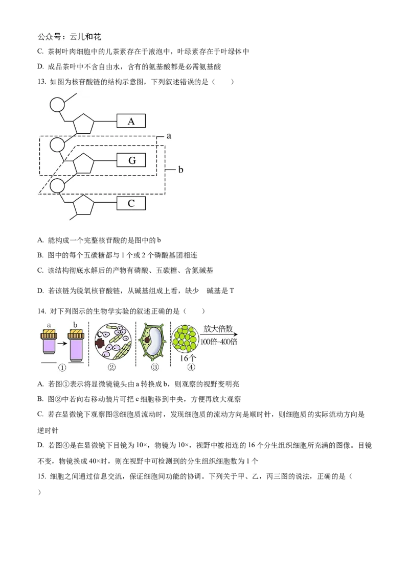 广东省清远市九校联考2024-2025学年高一上学期11月期中生物试题Word版无答案_2024年11月试卷_1127广东省清远市九校2024-2025学年高一上学期11月期中联考