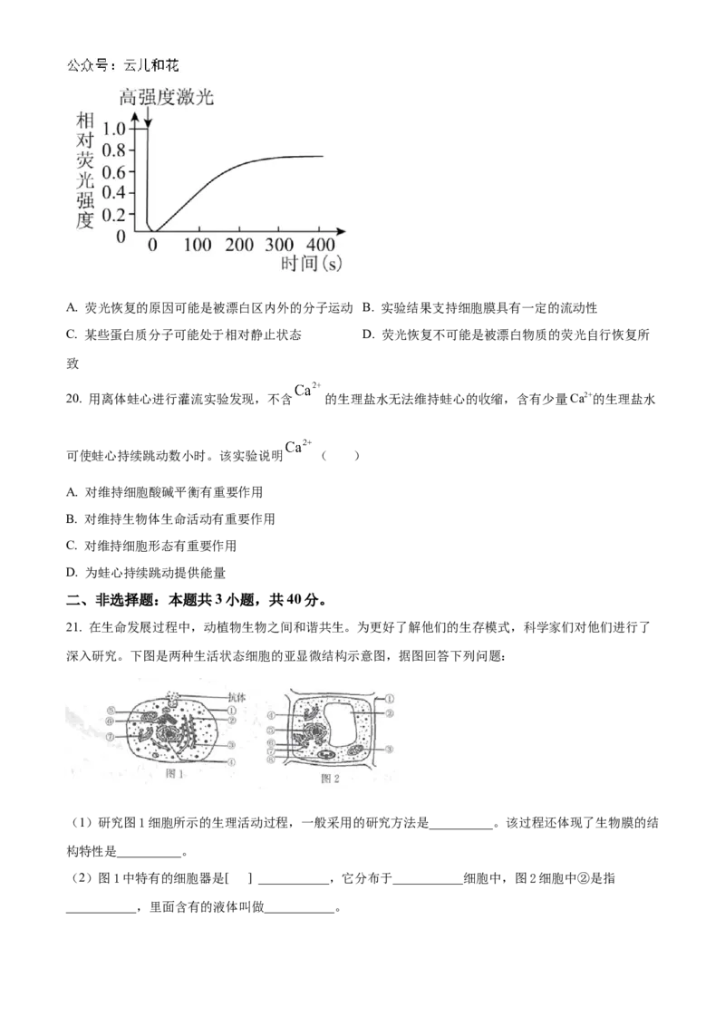 广东省清远市九校联考2024-2025学年高一上学期11月期中生物试题Word版无答案_2024年11月试卷_1127广东省清远市九校2024-2025学年高一上学期11月期中联考