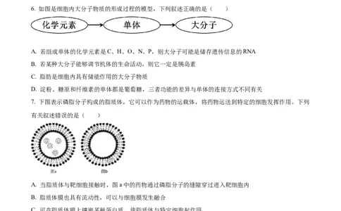 广东省清远市九校联考2024-2025学年高一上学期11月期中生物试题Word版无答案_2024年11月试卷_1127广东省清远市九校2024-2025学年高一上学期11月期中联考