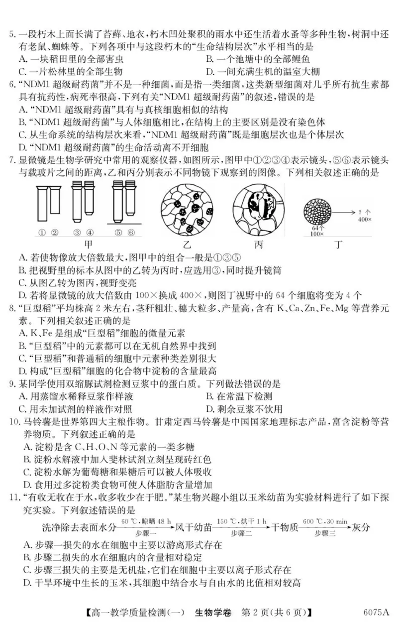 广东省八校联盟2025-2026学年高一上学期教学质量检测（一）生物试题_2025年10月高一试卷_251028广东省八校联盟2025-2026学年高一上学期教学质量检测（一）（全）