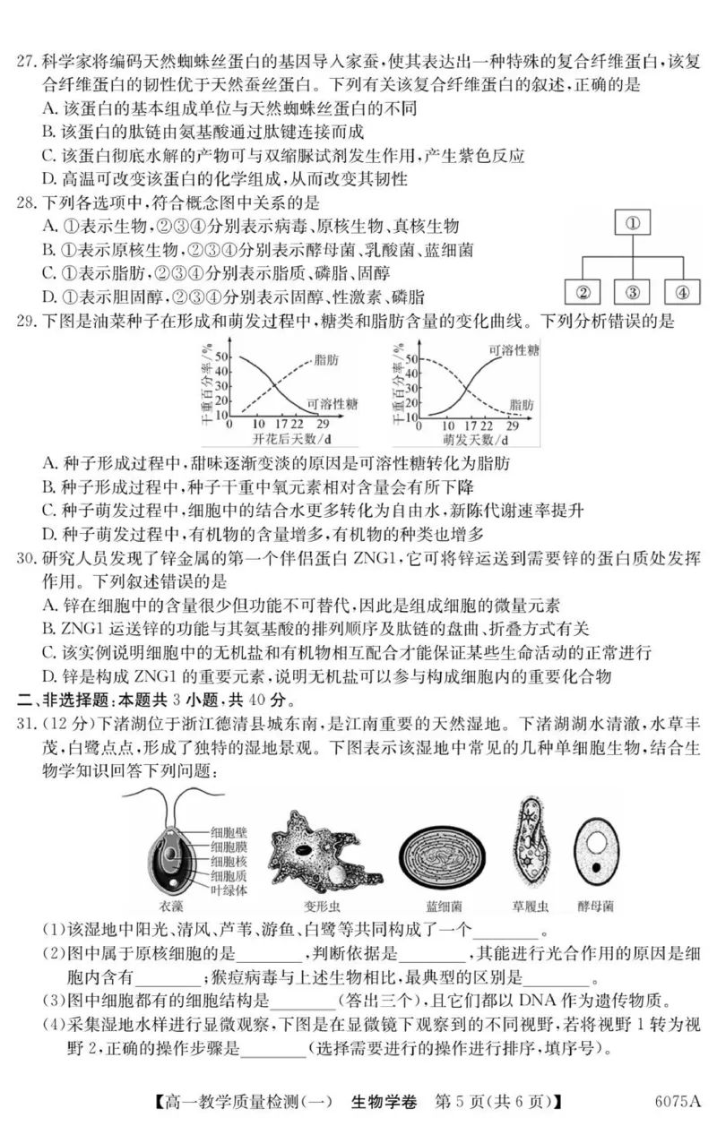 广东省八校联盟2025-2026学年高一上学期教学质量检测（一）生物试题_2025年10月高一试卷_251028广东省八校联盟2025-2026学年高一上学期教学质量检测（一）（全）