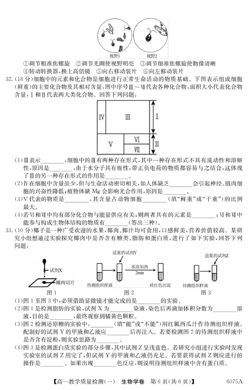 广东省八校联盟2025-2026学年高一上学期教学质量检测（一）生物试题_2025年10月高一试卷_251028广东省八校联盟2025-2026学年高一上学期教学质量检测（一）（全）