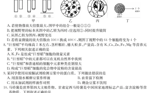 广东省八校联盟2025-2026学年高一上学期教学质量检测（一）生物试题_2025年10月高一试卷_251028广东省八校联盟2025-2026学年高一上学期教学质量检测（一）（全）