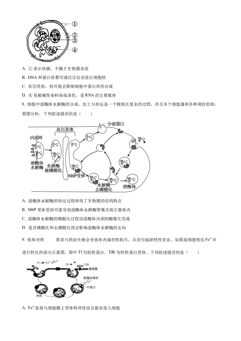 山西省晋中市2024-2025学年高一上学期期末调研测试生物试卷Word版无答案_2025年03月试卷_0315山西省晋中市2024-2025学年高一上学期期末考试