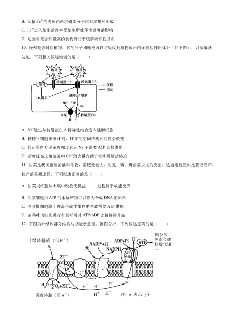 山西省晋中市2024-2025学年高一上学期期末调研测试生物试卷Word版无答案_2025年03月试卷_0315山西省晋中市2024-2025学年高一上学期期末考试