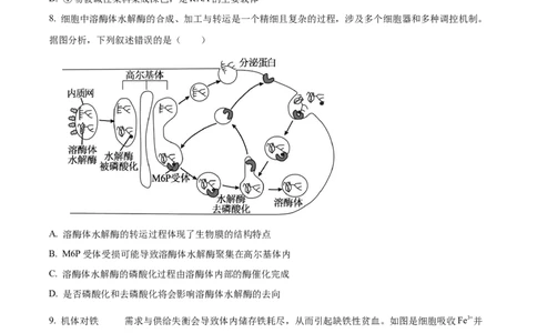 山西省晋中市2024-2025学年高一上学期期末调研测试生物试卷Word版无答案_2025年03月试卷_0315山西省晋中市2024-2025学年高一上学期期末考试